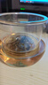 富光花茶杯 男女士茶水分离杯子 双层办公泡茶玻璃杯带把高硼硅水杯 实拍图
