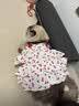 宜品达狗狗衣服夏季甜美可爱风连衣裙猫狗吊带蛋糕裙泰迪比熊透气蓬蓬裙 红色樱桃裙 S码-胸围35背长25【建议3-5斤】 实拍图