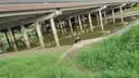 神鲨2.5米11节8门长形地龙渔网捕鱼网工具捕虾笼鱼虾网笼地网笼渔具 实拍图