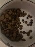 比瑞吉狗粮金毛萨摩耶拉布拉多俱乐部系列鲣鱼牛肉大型犬成犬粮16kg 实拍图