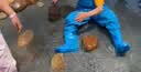 臻佑（Grsaed）赶海连体裤儿童下水裤捉鱼玩水涉水服水裤水鞋一体玩沙水裤蓝29码 实拍图