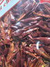 川珍四川干辣椒丝60g 香辣朝天红干辣椒 免切去籽 冷吃牛肉香辛料 实拍图
