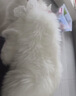 Chongker宠客米努特猫咪背包仿真拿破仑猫公仔毛绒玩具送女朋友生日礼物 实拍图