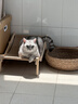 喵仙儿猫抓板猫窝剑麻不掉屑猫躺椅实木猫床耐抓猫沙发四季通用猫爬架 实拍图