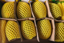 佳沛（zespri）新西兰 金果12粒特大果单果124-146g 端午节礼物水果礼盒 猕猴桃 实拍图