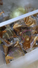 阳茗一世状元高粽子礼盒1350g 嘉兴粽子8粽2鸭蛋 含鲜肉粽蜜枣豆沙 实拍图
