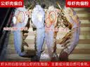 鲟食 生鲜小青龙新鲜冷冻龙虾 国产超大青龙虾大虾类节日送礼海鲜水产 2斤装（共3-4只）【实惠】 实拍图