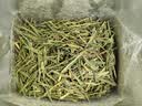 中婺春雨茶叶绿茶浙江茗茶白茶2026新茶嫩芽春茶手采茶叶中秋送长辈礼500g 实拍图