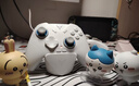飞智冰原狼4多模版无线游戏手柄 类xbox 力调节摇杆双切扳机 switch电脑PC手机steam体感NS 仁王3 实拍图