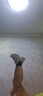 斯凯奇（Skechers）奶茶熊女鞋夏厚底老爹鞋软底熊猫鞋休闲运动鞋149238 实拍图