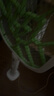 超威电蚊拍灭蚊紫光灯诱蚊防阻燃多功能强力充电家用大网面灭蚊器便捷 实拍图