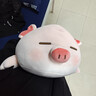 名创优品（MINISO）小猪B-BO弹力超柔趴姿公仔毛绒玩偶儿童玩具抱枕靠枕生日礼物女 实拍图