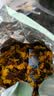 半山农 雪菊 天山雪菊花茶110克/瓶 新疆昆仑血菊 花草茶养生茶 实拍图