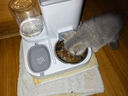 疯狂的主人宠物悬挂式喂食器狗狗猫咪饮水机兔子食盆挂笼宠物喝水猫碗狗食盆 实拍图