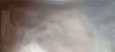 都市丽人内衣女士无钢圈文胸聚拢中薄款透气乳罩波斯菊性感蕾丝胸罩2B9506 实拍图