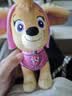 汪汪队立大功（PAW PATROL）毛绒玩具陪睡玩偶经典款小砾中号坐姿公仔男女孩儿童生日礼物 实拍图