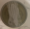 林家铺子 糖水黄桃水果罐头 425g*4罐 送长辈儿童零食即食食品 实拍图