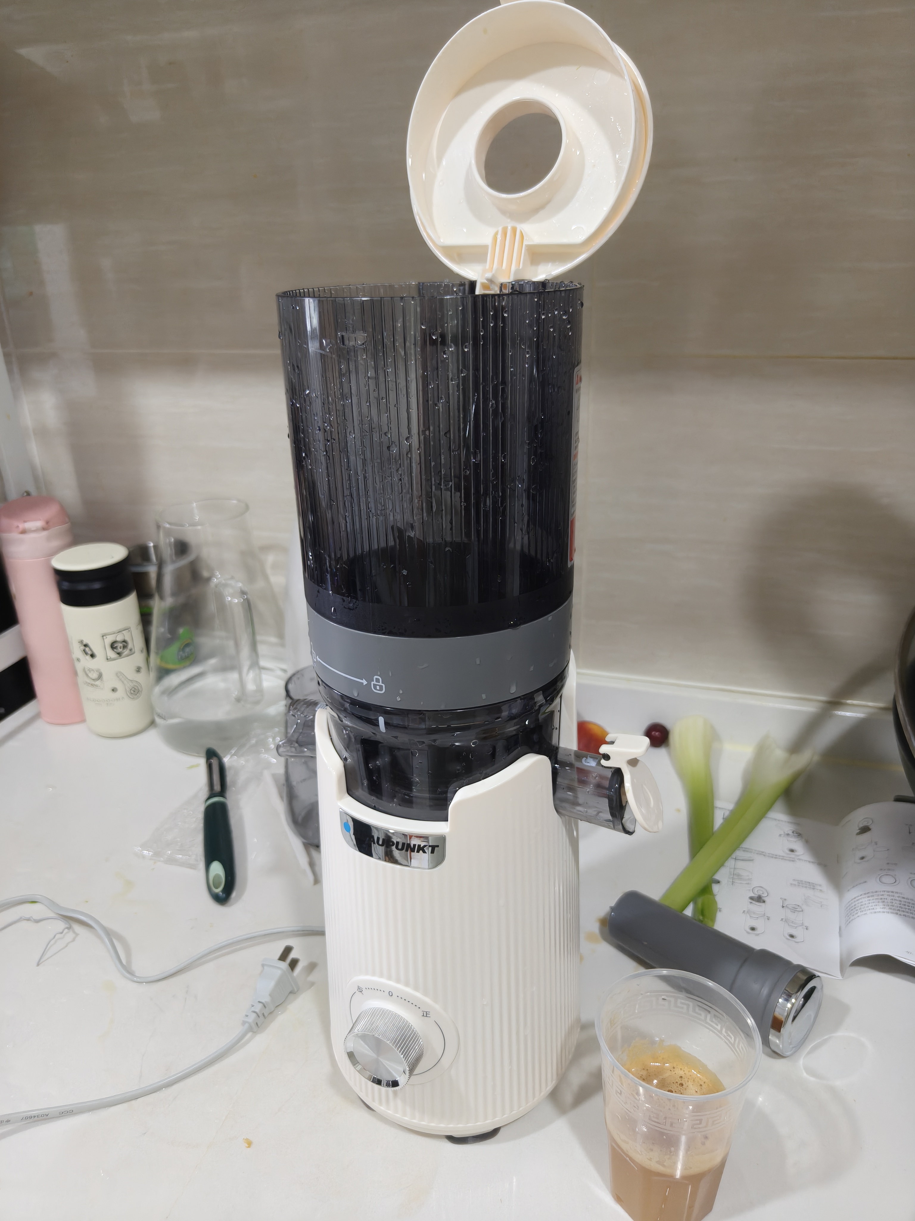 蓝宝（BLAUPUNKT）德国蓝宝榨汁机渣汁分离原汁机全自动果汁机大口径好清洗家用鲜榨果汁机小型 YJ03D 26年升级丨YJ03D白色 三段榨+全新结构更好清洗 实拍图