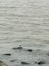 JEKO&JEKO实木衣架木质挂衣服架西装宽肩无痕挂衣架大衣专用晾衣架专柜同款 实拍图