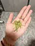 京东京造鲜来多2026新茶明前钱塘龙井茶叶100g绿茶茶叶自营自己喝送礼 实拍图