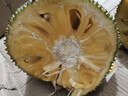 京逸海南菠萝蜜黄肉干苞新鲜水果当季孕妇木波罗蜜三亚热带水果一整个 8-12斤【果肉少尝鲜可选】 实拍图