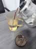 斐月伽杯子玻璃杯吸管杯女新款高颜值牛奶杯带盖水杯家用果汁奶茶咖啡杯 琥珀色+盖子+吸管 450ml 实拍图