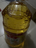 鲁花食用油 物理压榨 非转基因 玉米油6.18L 家用粮油 健康植物油 实拍图