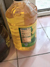 西王 食用油 玉米胚芽油4.06L 非转基因 物理压榨玉米油 实拍图