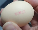京鲜生 无抗保洁鲜鸡蛋30枚/盒 健康轻食 礼盒送礼 1.5kg/盒 源头直发 实拍图
