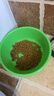 奥丁（ODIN）猫粮 鲜肉美毛 幼猫成猫美短英短蓝猫暹罗猫 鱼肉味天然猫粮2kg 实拍图