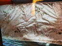 南极人亲肤全棉双拼夏凉被A类抗菌薄被子200x230cm双人空调被夏被 实拍图