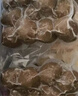 安井锁鲜装香菇贡丸 150g/包 火锅麻辣烫丸子丸料 空气炸锅食材 实拍图