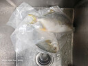 翔泰海南深海金鲳鱼700g2条火锅生鲜鱼类BAP认证 海鲜水产 实拍图