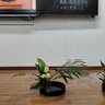 苏泊尔（SUPOR）电煮锅 电蒸锅 电热锅 多功能泡面小火锅 宿舍小电锅 一体蒸煮小炒锅 1.7L多用途锅 H17YK489A 实拍图