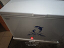 澳柯玛（AUCMA）307升单温冷柜家用减霜大冰柜 冷藏柜冷冻柜转换卧式冰箱雪糕 柜一级能效BC/BD-307HNE【价保618】 实拍图