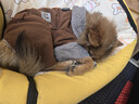 小熊（Bear）婴儿奶瓶消毒柜 带烘干恒温水壶婴儿冲泡奶调奶器二合一体机 1.3L 实拍图