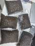达派（dapai）德国真空封口机家用商用干湿两用全自动抽真空包装真空食品保鲜机塑封机抽腊肉真空封口 店长推荐【干湿两用】下单享袋子 实拍图