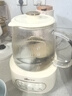 小熊（Bear）【价保618】全玻璃养生壶 纯玻璃煮茶壶恒温壶 多功能炖煮花茶壶烧水壶 1.5L YSH-H15L2 实拍图