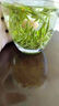 醉茗山2026年明前新茶 龙井500克正宗杭州豆香绿茶鲜芽嫩芽浓香型散装 实拍图