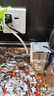 森森 小鲤鱼缸过滤器净水循环三合一内置水族箱过滤系统XQP-500F 6W 实拍图