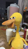 babycare复读鸭毛绒玩具会说话的鸭子哄娃神器公仔卡布利鸭生日礼物见面礼 实拍图