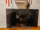 长虹欧宝丽京东联名款京东OS【价保618】43英寸无开机广告电视43JD 01 智能电视 43Z60H-G1 实拍图