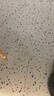 Kid's Box剑桥国际少儿英语第二版第一版学生包一二三四五级点读版剑桥少儿英语用书伴学指导 KB剑桥英语光盘互动DVD指导用书5-12岁 剑桥国际少儿英语【KB4第二版】 晒单实拍图