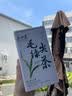 正山王茶叶绿茶信阳特级毛尖茶2026新茶头采250g茶叶礼盒装送长辈送领导 实拍图