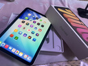 Apple/苹果 iPad mini (A17 Pro) 8.3英寸 平板电脑(128G WLAN版/mini7/MXN83CH/A)星光色 实拍图