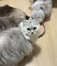 LEGENDSANDY蓝氏猫粮生鲜猎鸟鲜乳鸽生骨肉冻干高蛋白全价成猫粮幼猫通用型 全价通用美毛增肌丨荒野猎兔丨4.5kg 实拍图