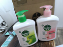 滴露（Dettol）洗手液抑菌消毒 滋润450g*2+松木450g*2儿童家庭补充装温和 实拍图