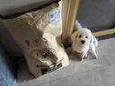 麦富迪狗粮 藻趣儿狗粮成犬粮牛肉螺旋藻 均衡营养15kg/30斤 实拍图