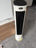 美的（Midea）【直流变频】家用空调扇 智能语音冷风扇 负离子净化落地冷风机水冷塔扇 强力制冷双向送风ADJ10SC 实拍图