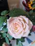 鱼跃（yuwell）充电语音电子血压计670CR血压仪医用高精准高血压测量仪家用升级 实拍图